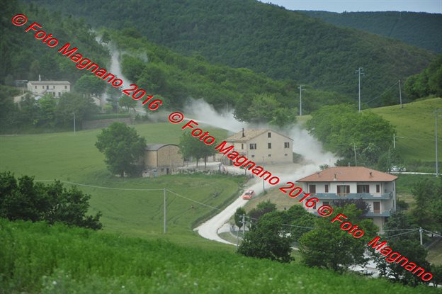 DSC_7134.JPG